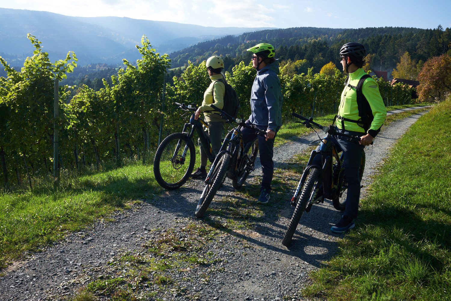 Geführte E-Bike-Tour durch die Weinberge der Weststeiermark
