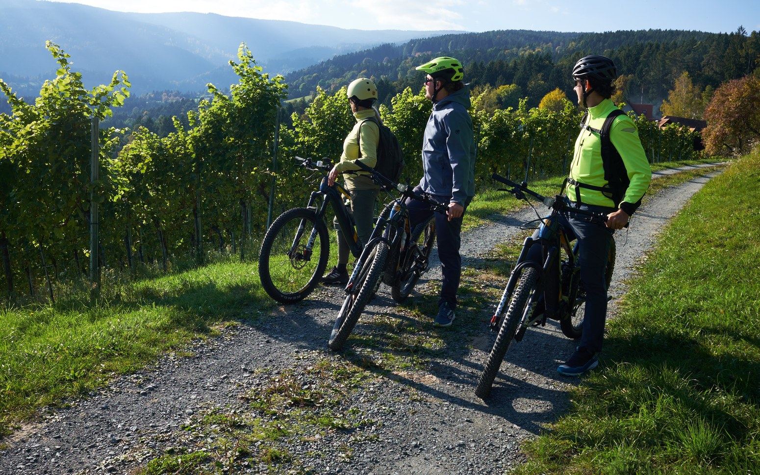 E-Biker:innen blicken über die Weinberge des Schilcherlandes in der Weststeiermark