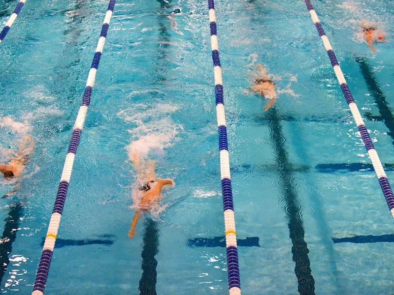 Schwimmer im Becken