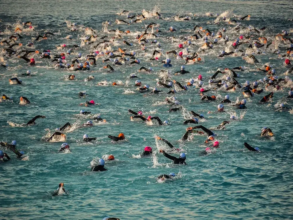 Freiwasserschwimmen im Wettkampf